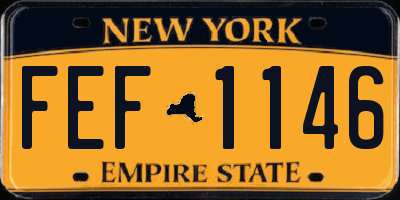 NY license plate FEF1146
