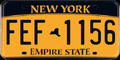 NY license plate FEF1156