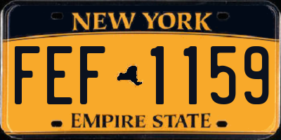 NY license plate FEF1159