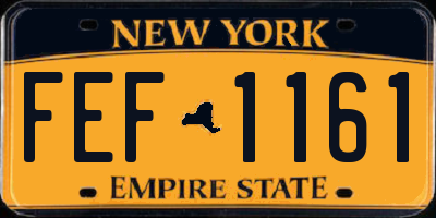NY license plate FEF1161