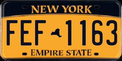 NY license plate FEF1163