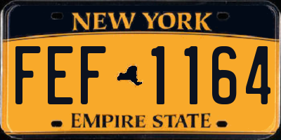 NY license plate FEF1164