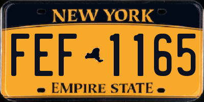 NY license plate FEF1165