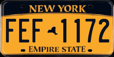 NY license plate FEF1172
