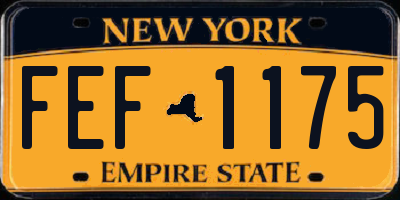 NY license plate FEF1175