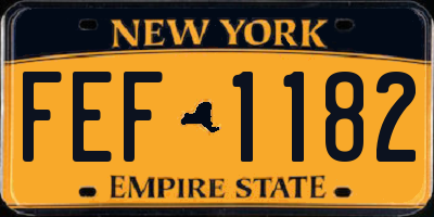 NY license plate FEF1182