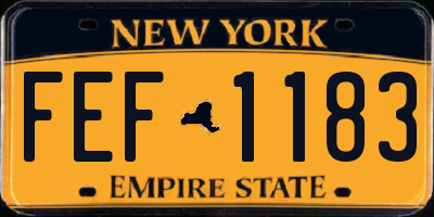 NY license plate FEF1183