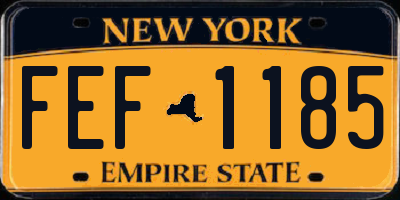 NY license plate FEF1185