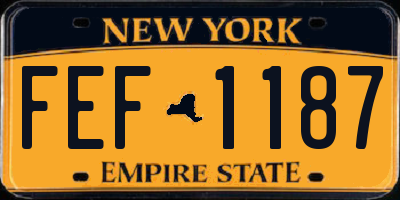 NY license plate FEF1187