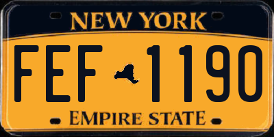 NY license plate FEF1190