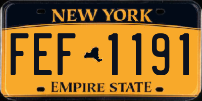 NY license plate FEF1191