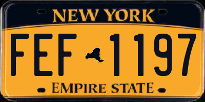 NY license plate FEF1197
