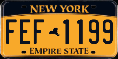 NY license plate FEF1199