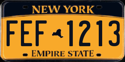 NY license plate FEF1213