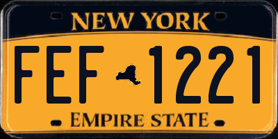 NY license plate FEF1221