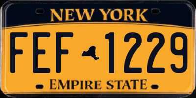 NY license plate FEF1229