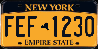 NY license plate FEF1230