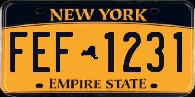 NY license plate FEF1231