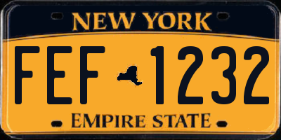 NY license plate FEF1232