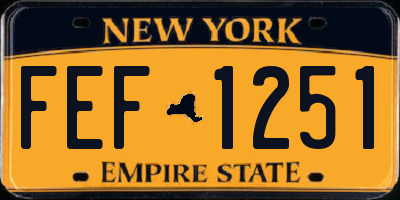 NY license plate FEF1251