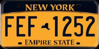 NY license plate FEF1252