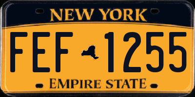 NY license plate FEF1255