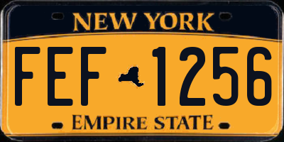 NY license plate FEF1256