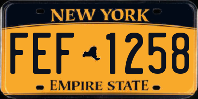 NY license plate FEF1258