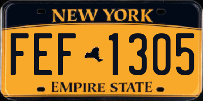 NY license plate FEF1305