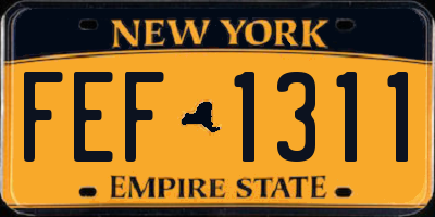 NY license plate FEF1311