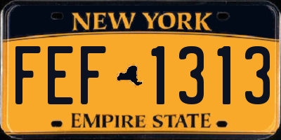 NY license plate FEF1313