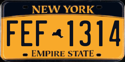 NY license plate FEF1314
