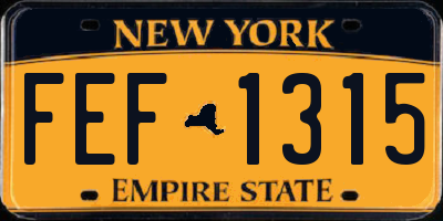 NY license plate FEF1315