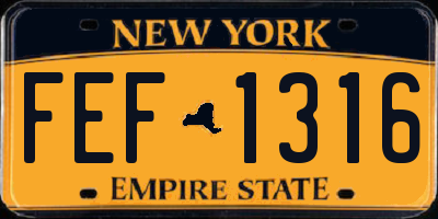 NY license plate FEF1316