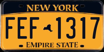 NY license plate FEF1317