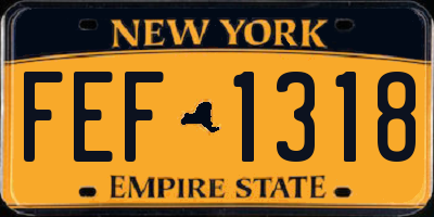 NY license plate FEF1318