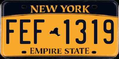 NY license plate FEF1319