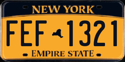 NY license plate FEF1321