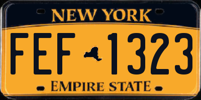 NY license plate FEF1323