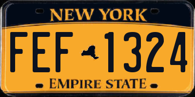 NY license plate FEF1324