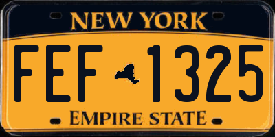 NY license plate FEF1325