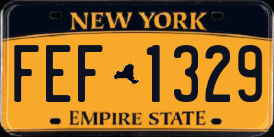 NY license plate FEF1329