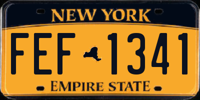 NY license plate FEF1341