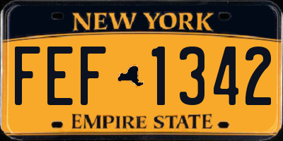 NY license plate FEF1342