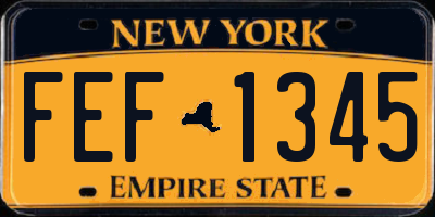 NY license plate FEF1345