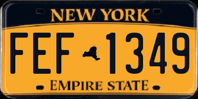 NY license plate FEF1349