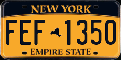 NY license plate FEF1350
