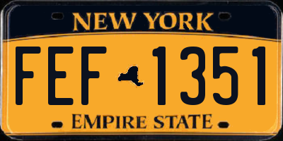 NY license plate FEF1351