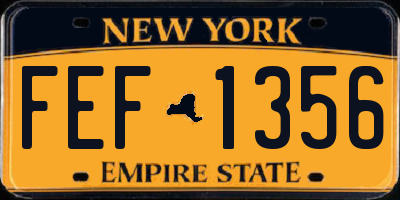 NY license plate FEF1356