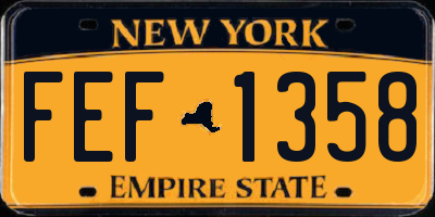 NY license plate FEF1358
